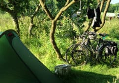 the perfect way to explore the area