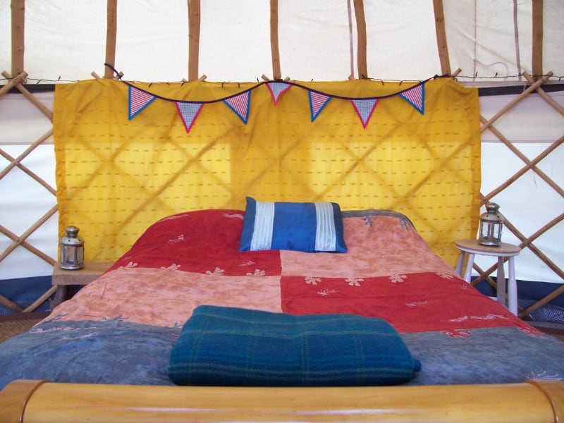 dragonfly buntingweb