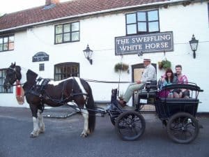 horse and trap couple smilesweb